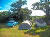 Shady pitches looking over the woods