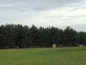 Pitches on the site