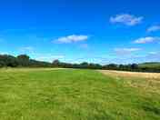 Grass pitches