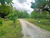 Path through the site