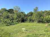 Non-electric grass tent pitch