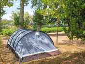 Tent pitch