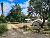 Pitches shaded by fruit trees