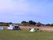 Tent field