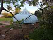 Late spring with a backdrop of fruit trees (added by manager 23 Apr 2024)