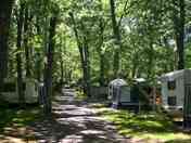 Pitches among the trees