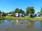 Pond on site