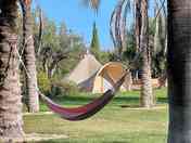 hammock included