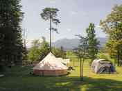 Part of our meadow with mountain view