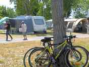 Guests' bikes leaning against a tree (added by manager 10 Jan 2022)