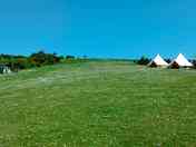 View of the field, Barn Owl cabin far left, Swift and Robin Bell tent to the right