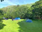 Camping pitches (added by manager 17 Jul 2020)