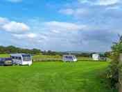Grass pitches