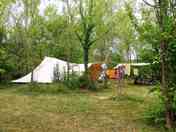 Large pitches under the trees
