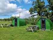 Green Pods
