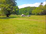Solo tent grass pitch