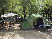 Shaded tent pitches