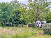 Grass pitches