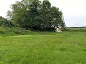 Campion tent pitch