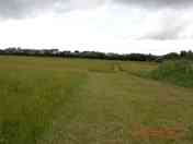 Tent area and wildflower meadow walk