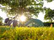 Grass pitch