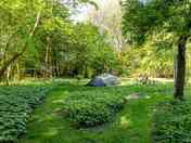 A cool and shaded spot