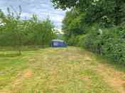 Tent in the orchard.