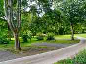 Scenic pitches surrounded by woodlands