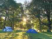 Visitor image of early morning