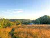 View to Wentwood