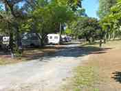 Shaded pitches under the trees