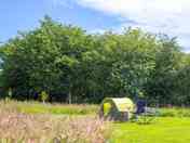 Grass tent pitch mowed into the long grass.
