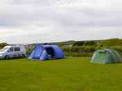 View of the pitches