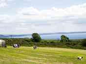 Well-kept pitches with sea views