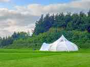Camping field with mown pitches