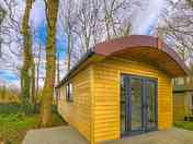 Robin exterior