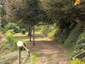 Pitches among the trees