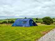 Grass pitches