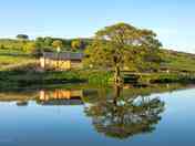 The pond