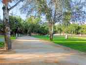 Pitches shaded by trees