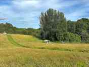 Camping ground