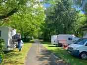 Pitches under the trees