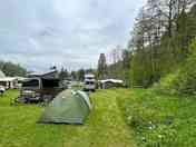 Pitches surrounded by trees