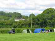 View of the pitches