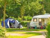 Pitches under the trees