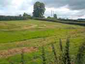 The Paddock and views