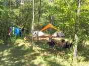Pitches under the trees