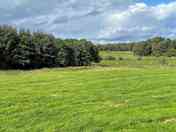 View down the paddock