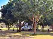 Grass campsite with electric points