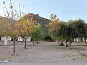 parcela sombra